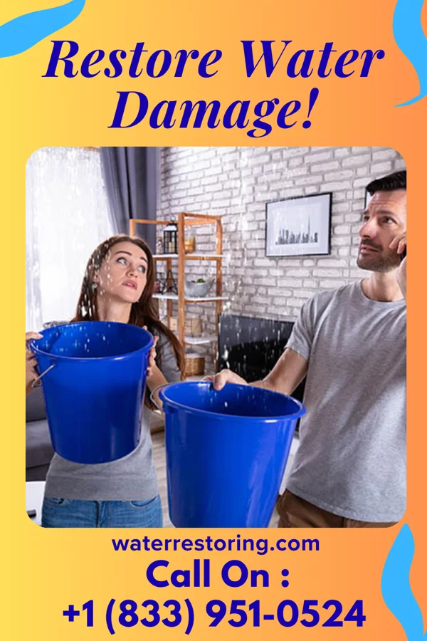 water restoration Prestige Mitigation & Associates Clearmont