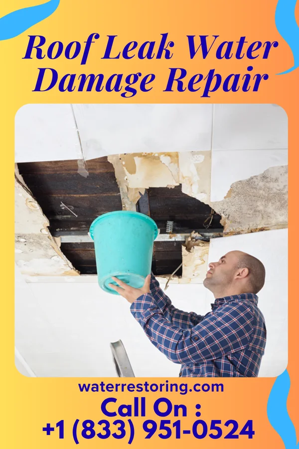 Roof Leak Water Damage Repair in Clearmont, WY